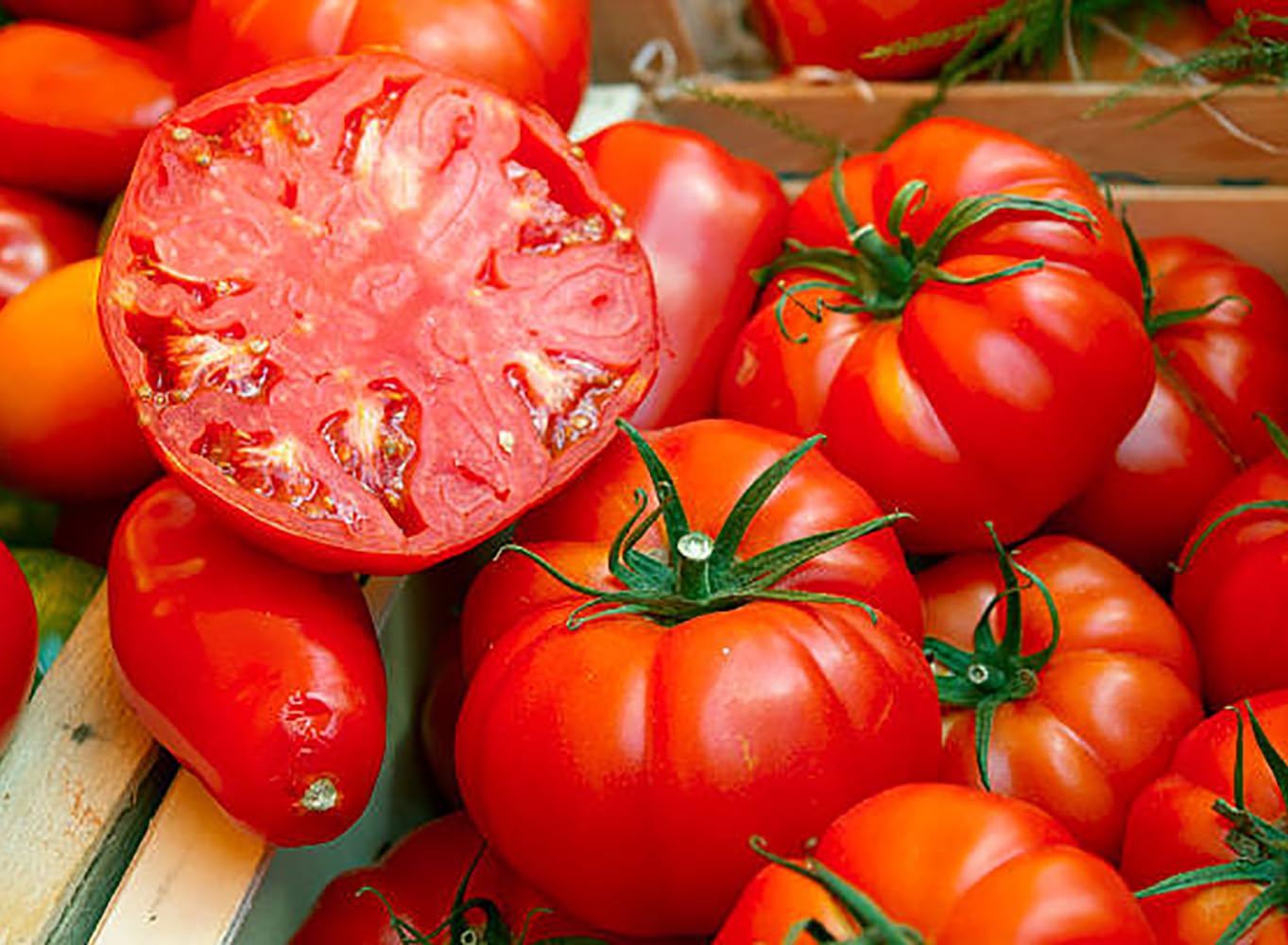 Beefsteak (tomato Solanum lycopersicum nutrient-rich giant fruit) for planting in garden